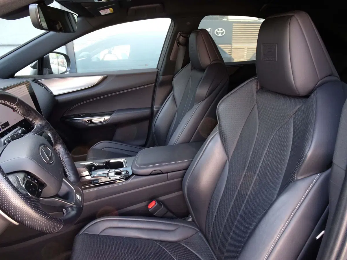 Lexus NX usata a Venezia (7)