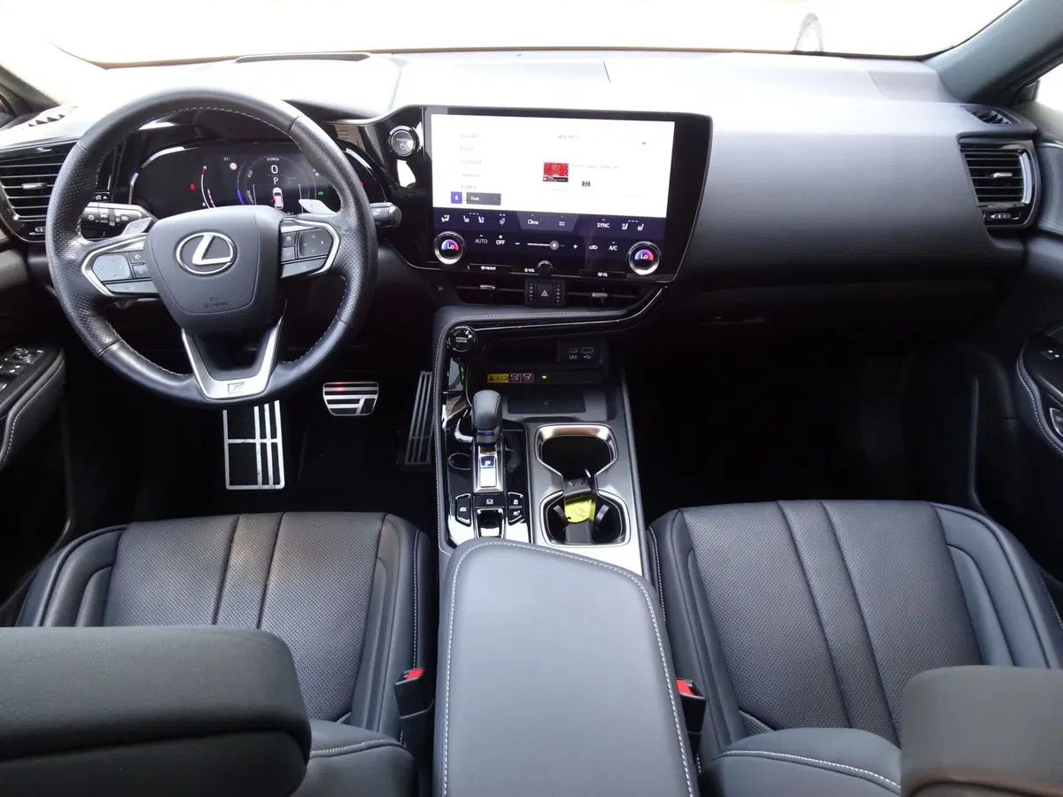 Lexus NX usata a Venezia (9)