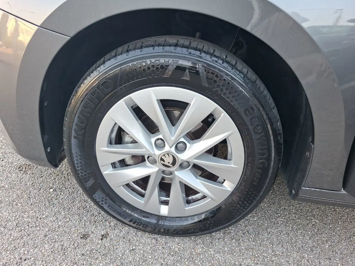 Skoda Fabia usata a Ancona (15)
