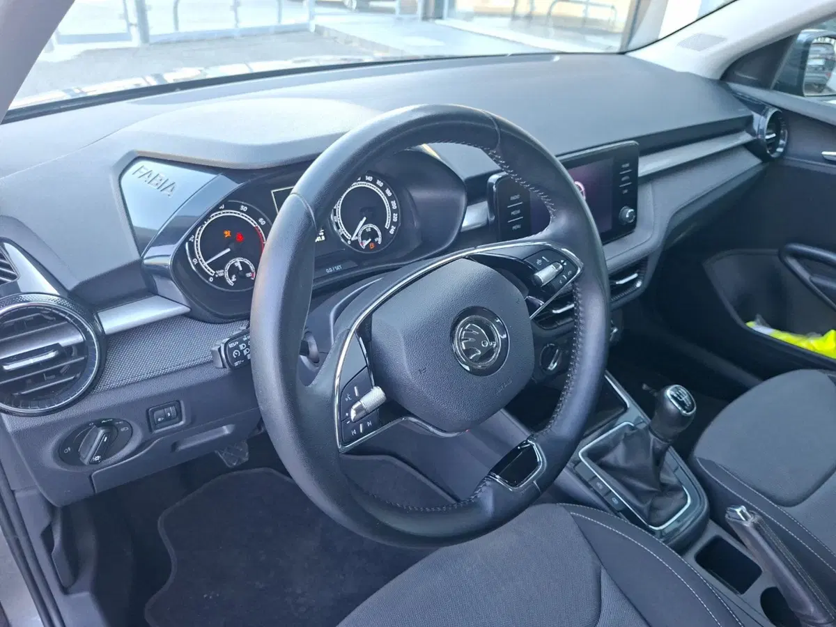 Skoda Fabia usata a Ancona (19)