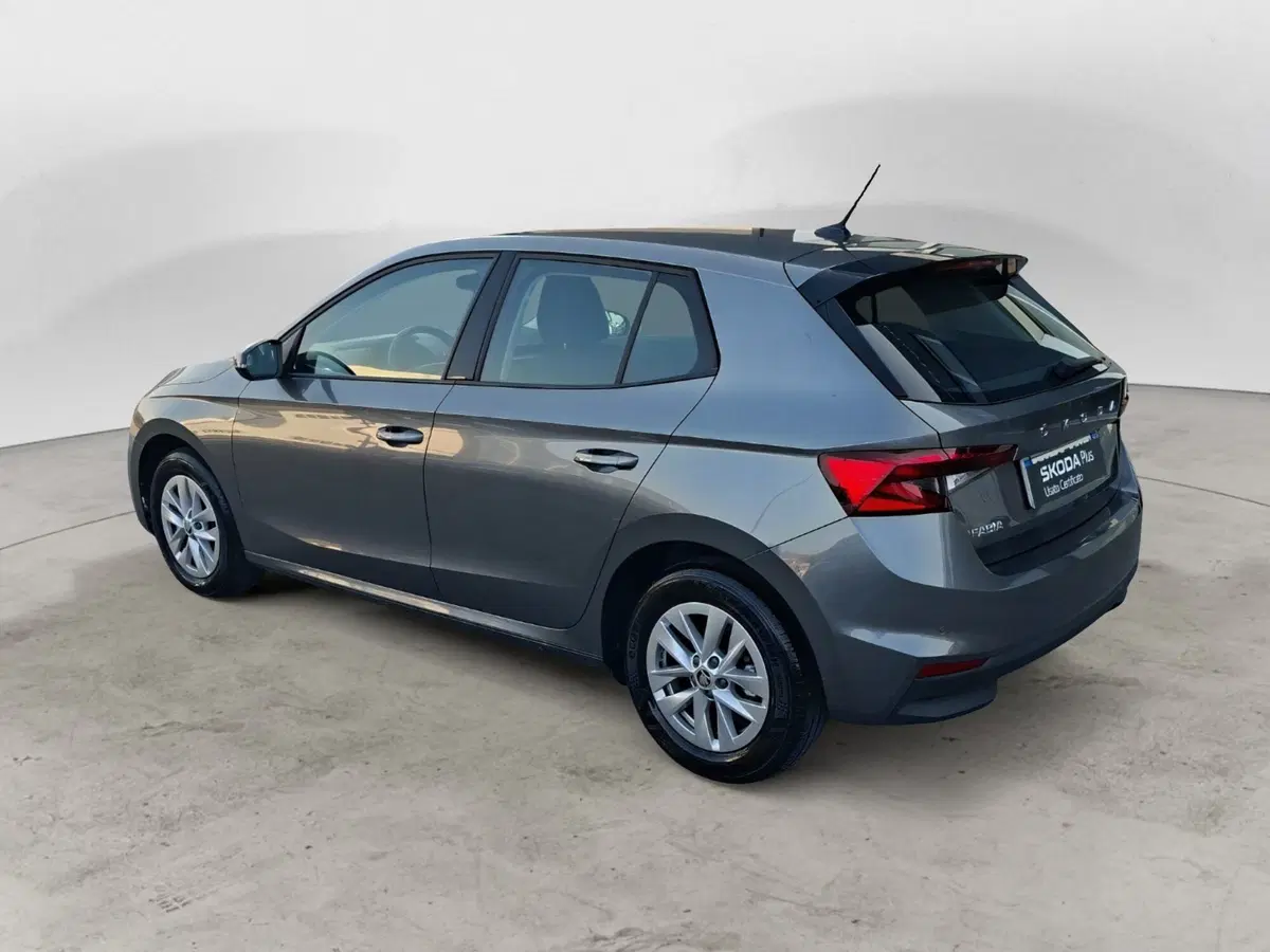 Skoda Fabia usata a Ancona (3)