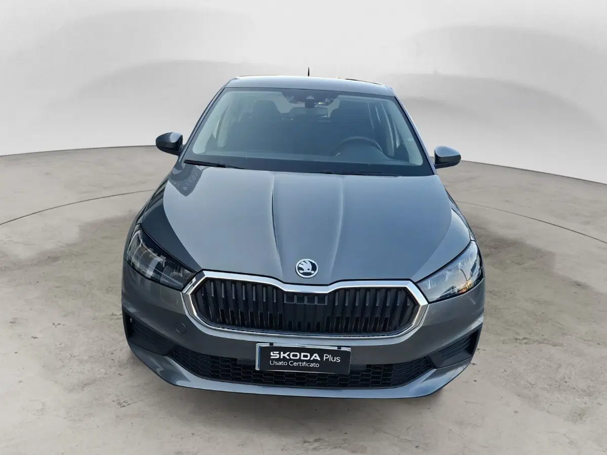 Skoda Fabia usata a Ancona (6)