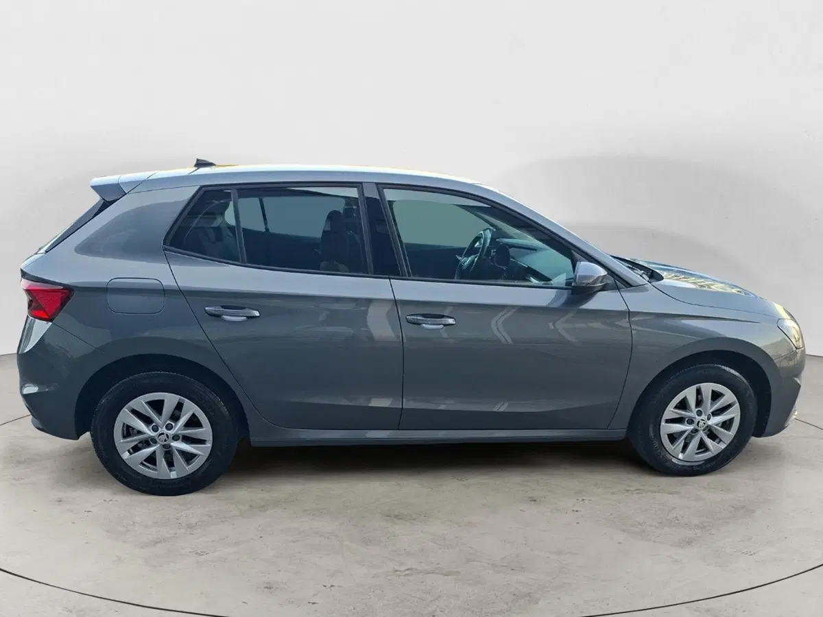 Skoda Fabia usata a Ancona (7)