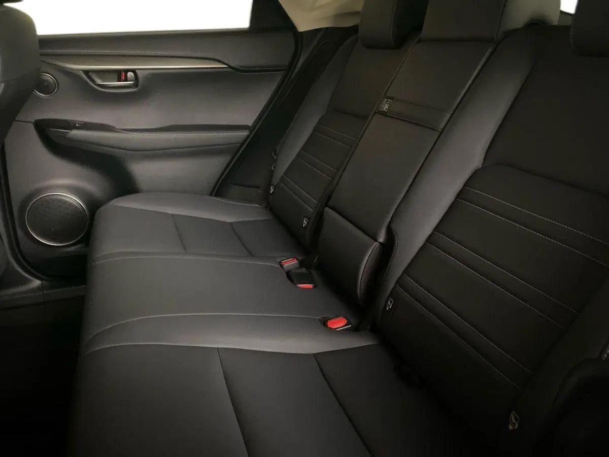 Lexus NX usata a Bergamo (11)