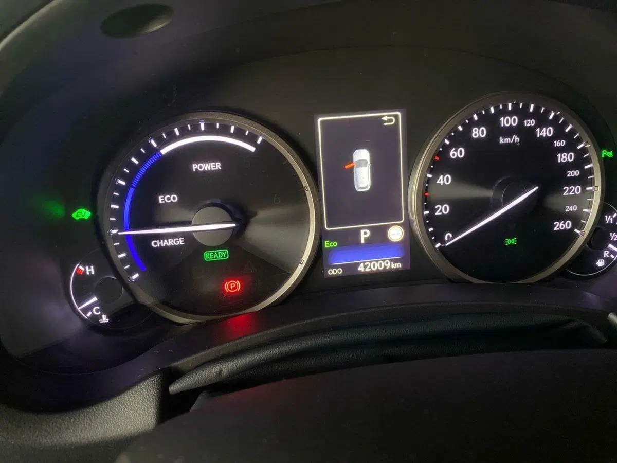 Lexus NX usata a Bergamo (12)