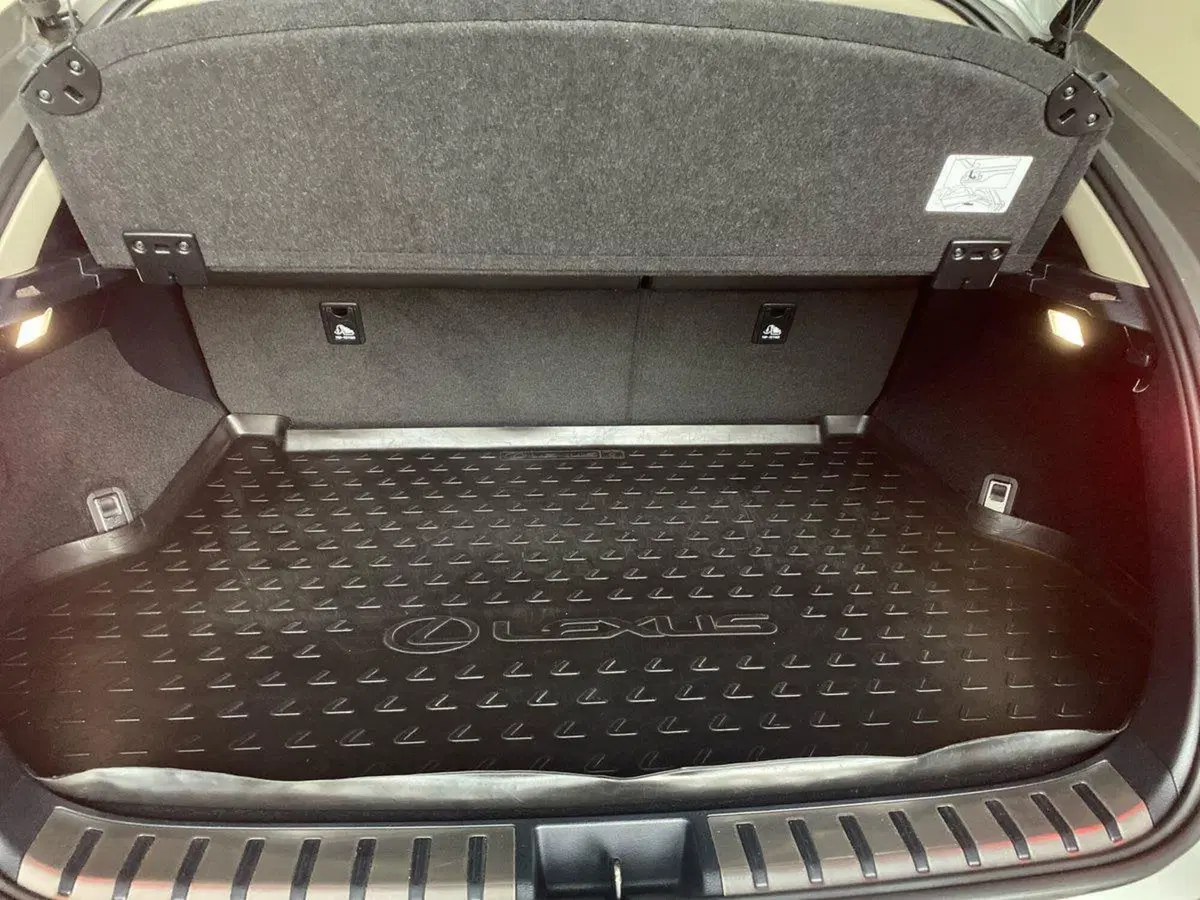 Lexus NX usata a Bergamo (15)