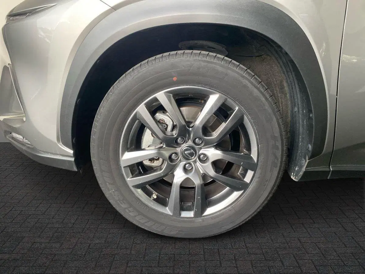 Lexus NX usata a Bergamo (17)