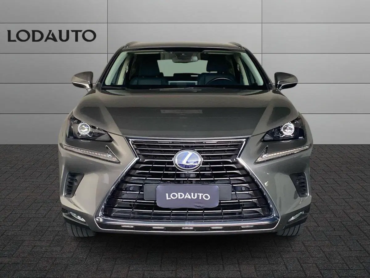 Lexus NX usata a Bergamo (3)