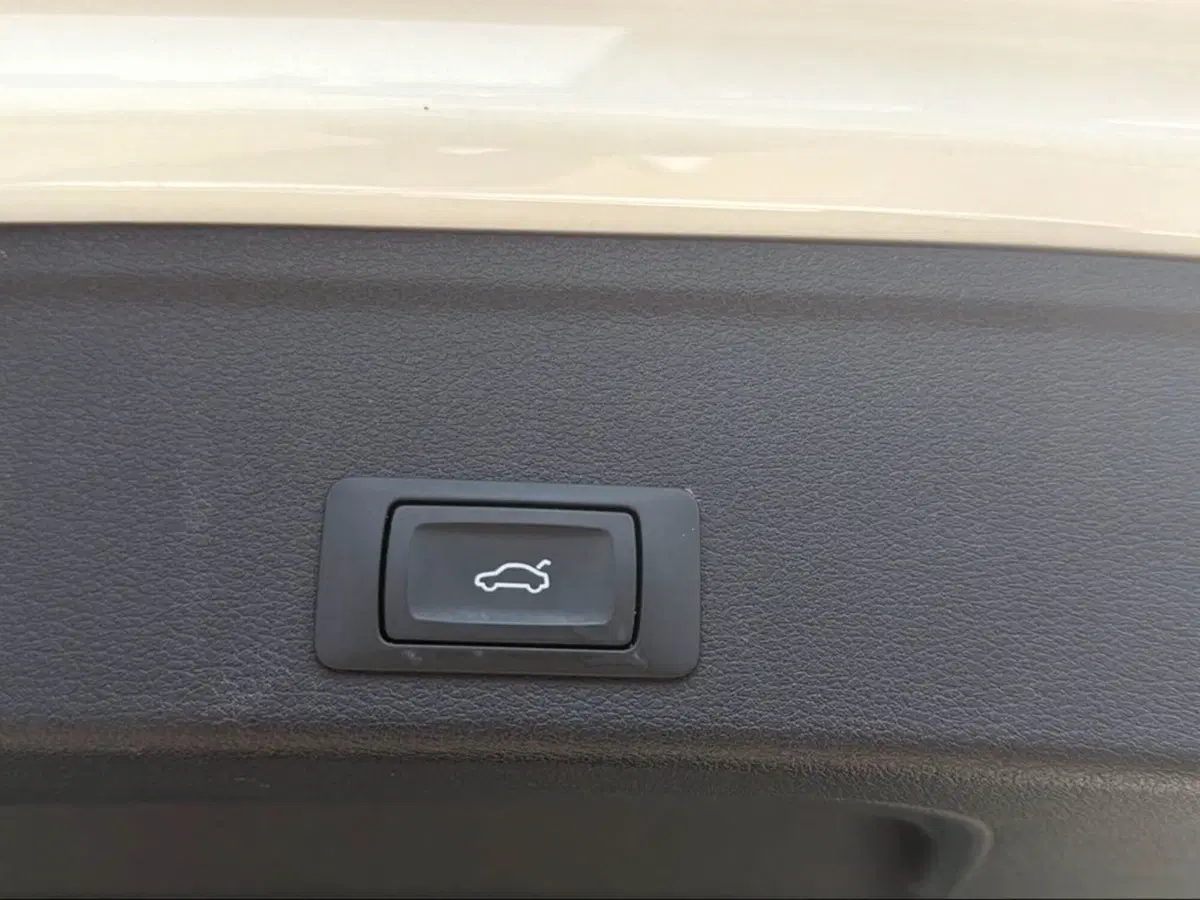 Audi A4 Allroad usata a Pisa (7)