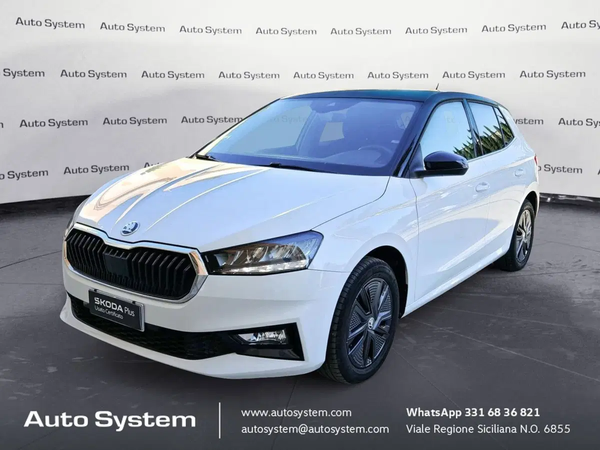 Skoda Fabia usata a Palermo