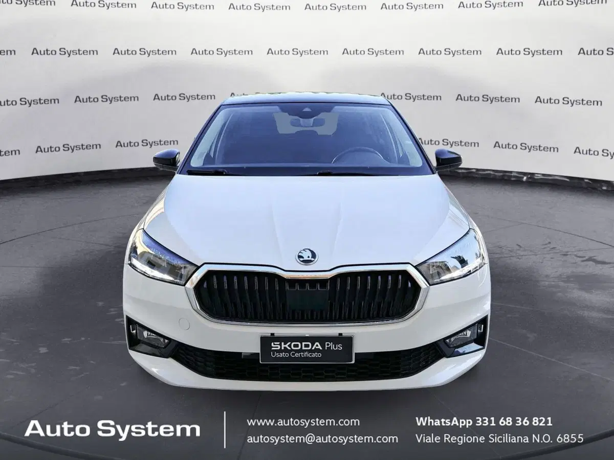 Skoda Fabia usata a Palermo (2)