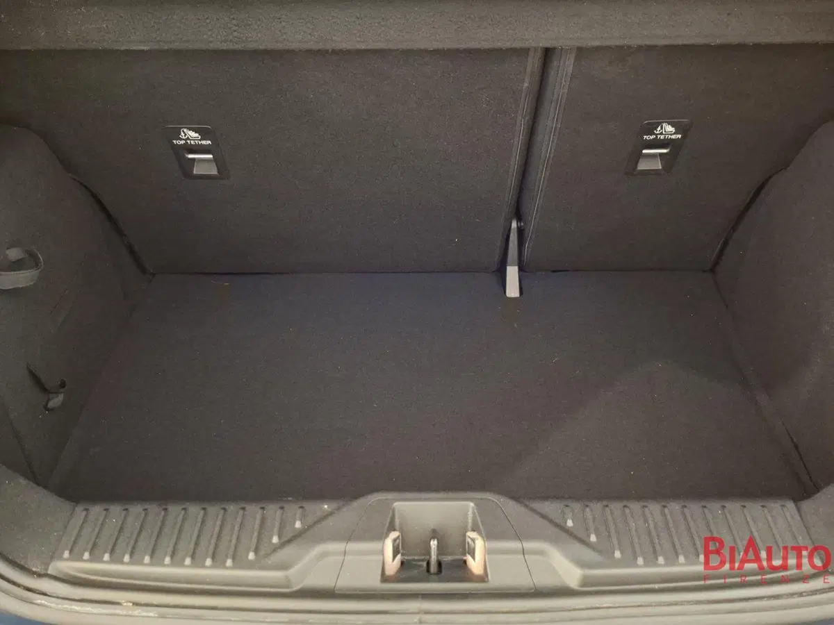 Ford Fiesta usata a Firenze (5)