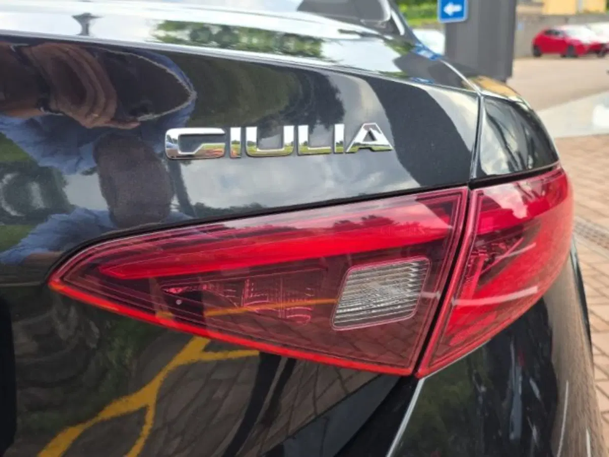 Alfa Romeo Giulia usata a Monza e Brianza (14)