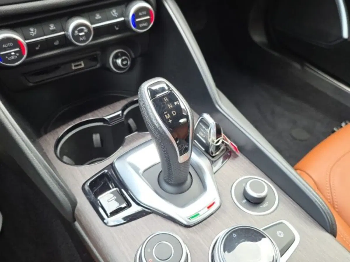 Alfa Romeo Giulia usata a Monza e Brianza (17)