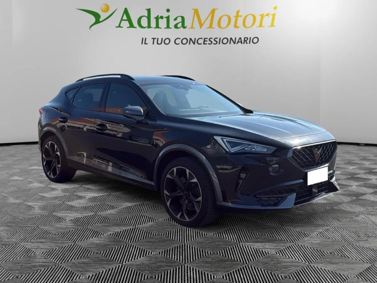Cupra Formentor usata a Udine (7)