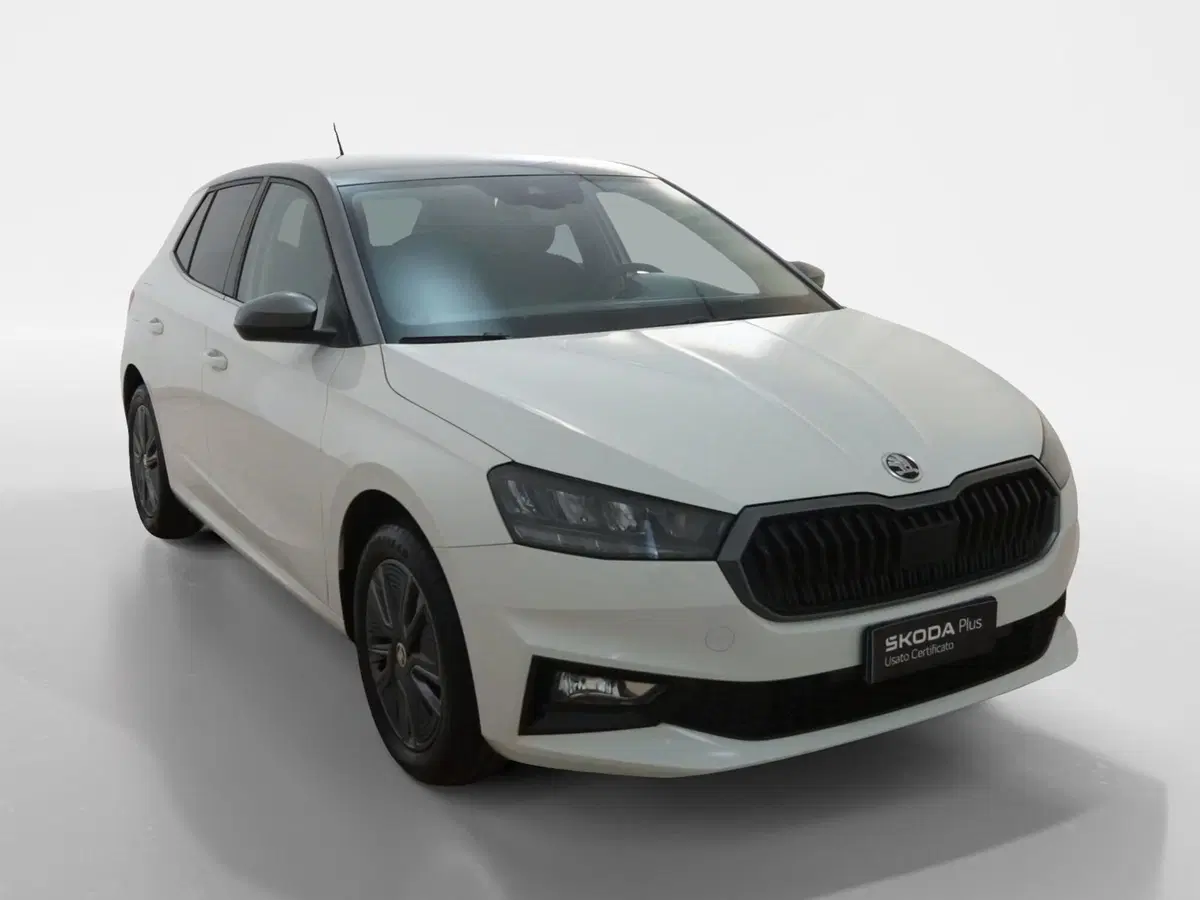 Skoda Fabia usata a Torino