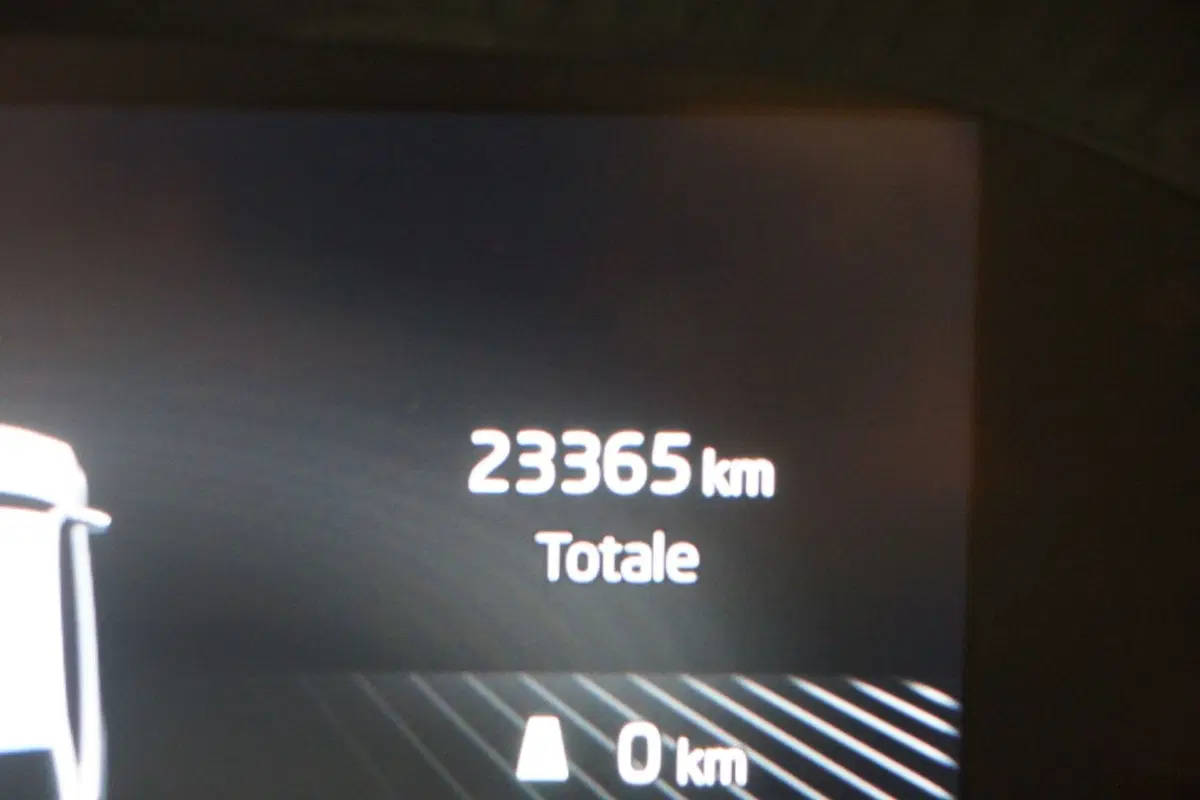Skoda Fabia usata a Torino (10)
