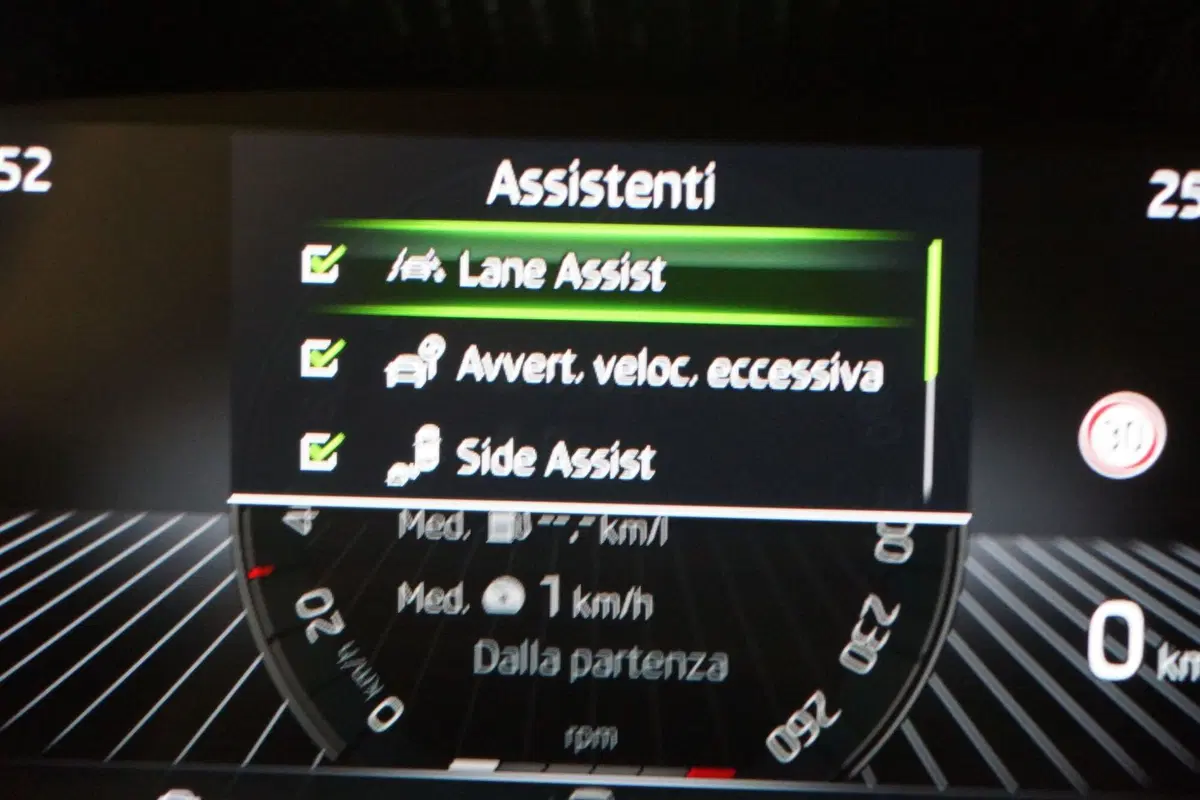 Skoda Fabia usata a Torino (14)