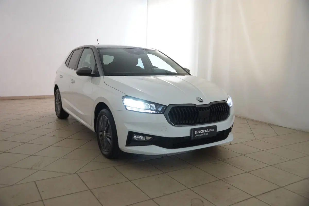 Skoda Fabia usata a Torino (19)