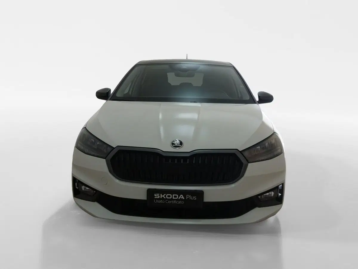 Skoda Fabia usata a Torino (2)