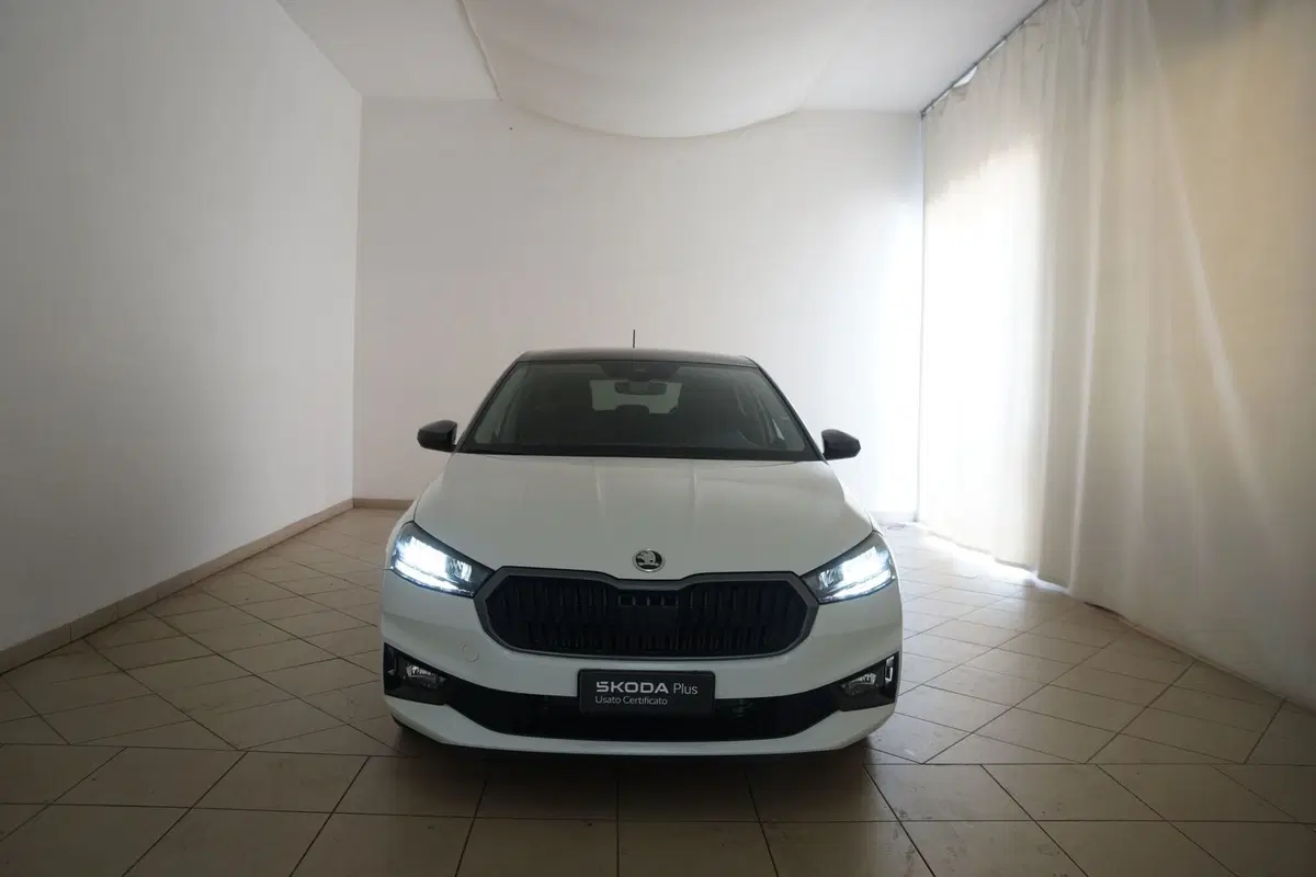 Skoda Fabia usata a Torino (20)