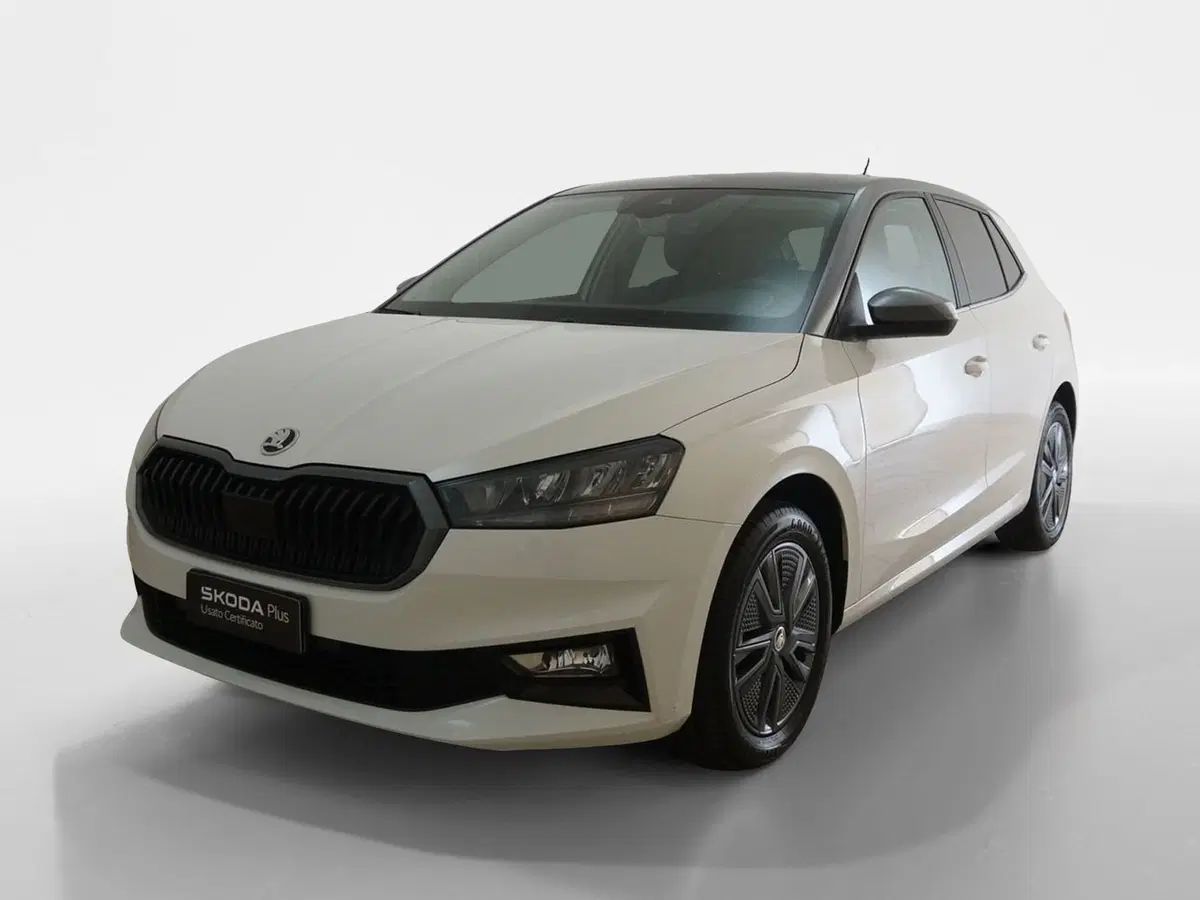 Skoda Fabia usata a Torino (3)