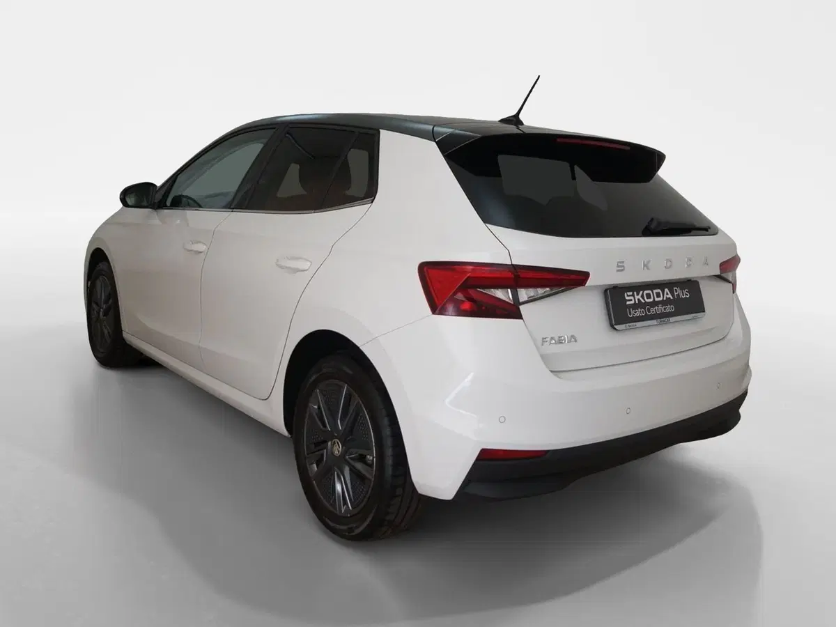 Skoda Fabia usata a Torino (4)