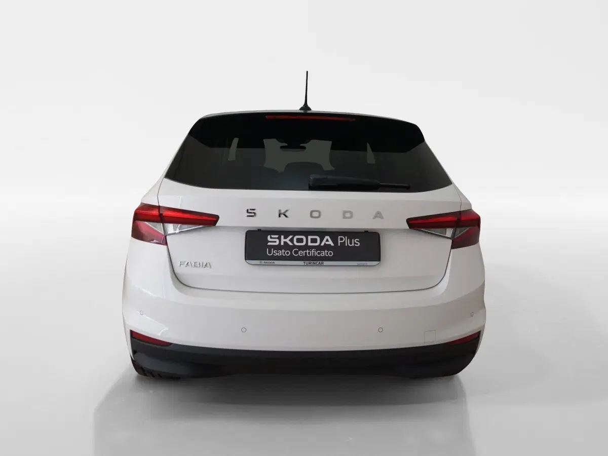 Skoda Fabia usata a Torino (5)