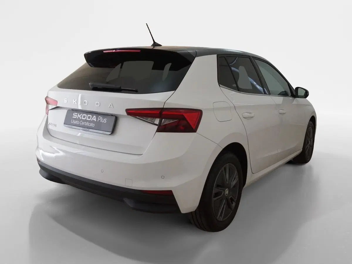 Skoda Fabia usata a Torino (6)