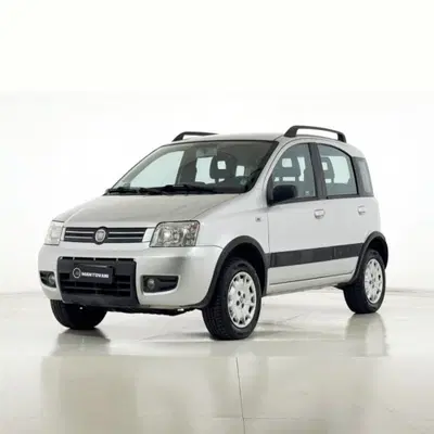 Fiat Panda 1.2 Active GPL del 2008 usata a Bastia Umbra