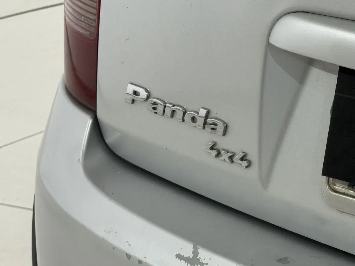 Fiat Panda usata a Perugia (10)