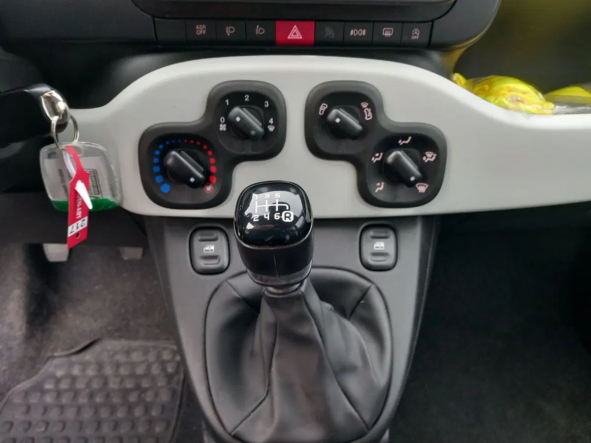 Fiat Panda Cross usata a Lucca (17)