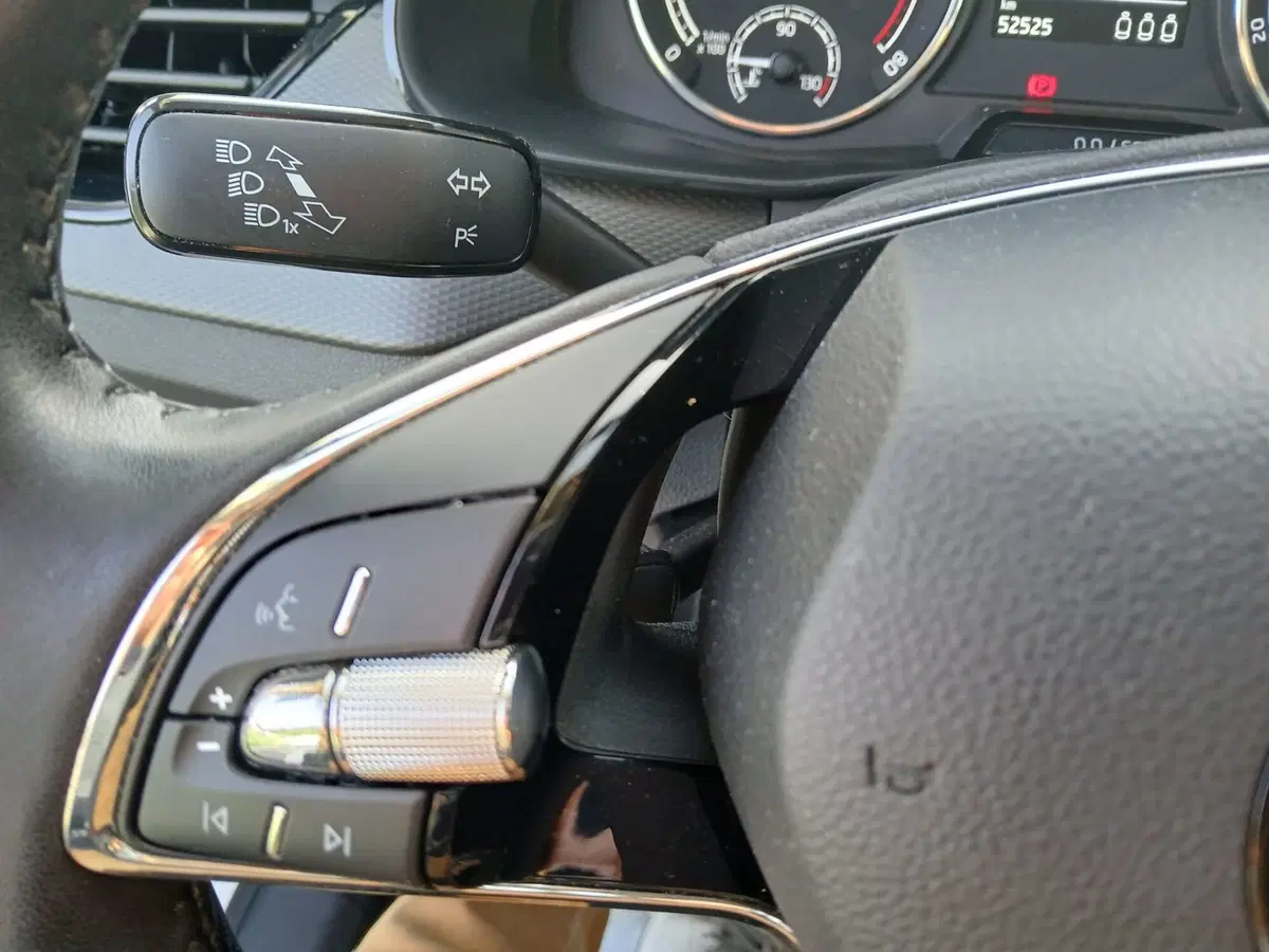 Skoda Kamiq usata a Reggio Calabria (13)
