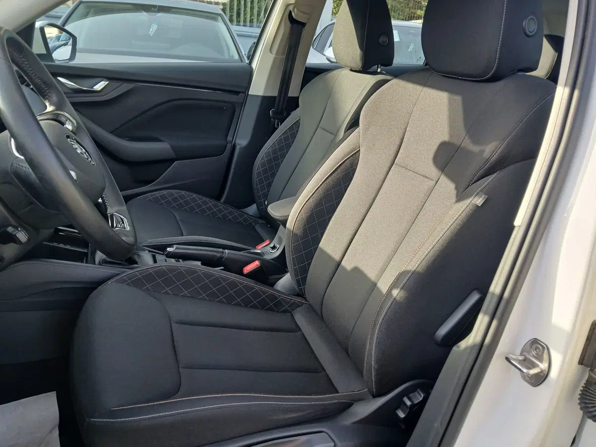 Skoda Kamiq usata a Reggio Calabria (7)