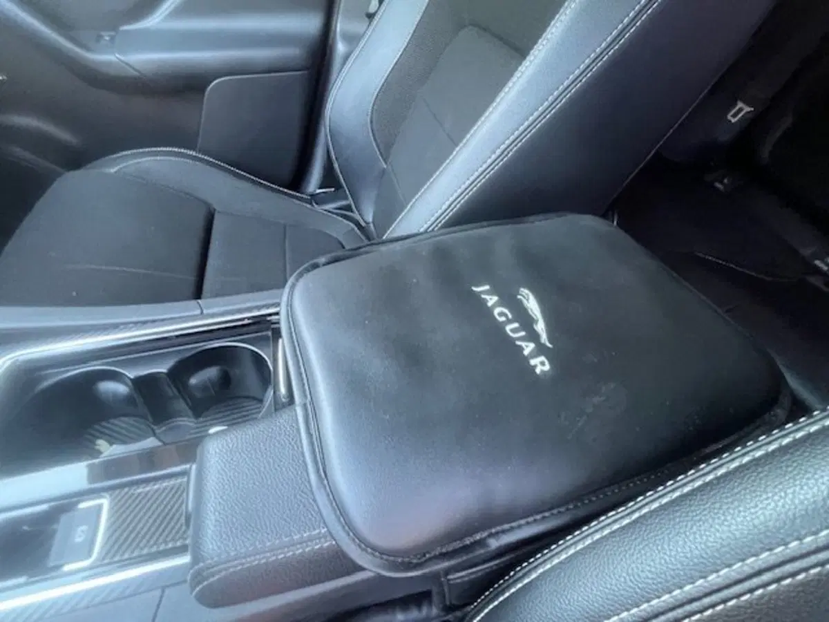 Jaguar F-Pace usata a Brescia (13)