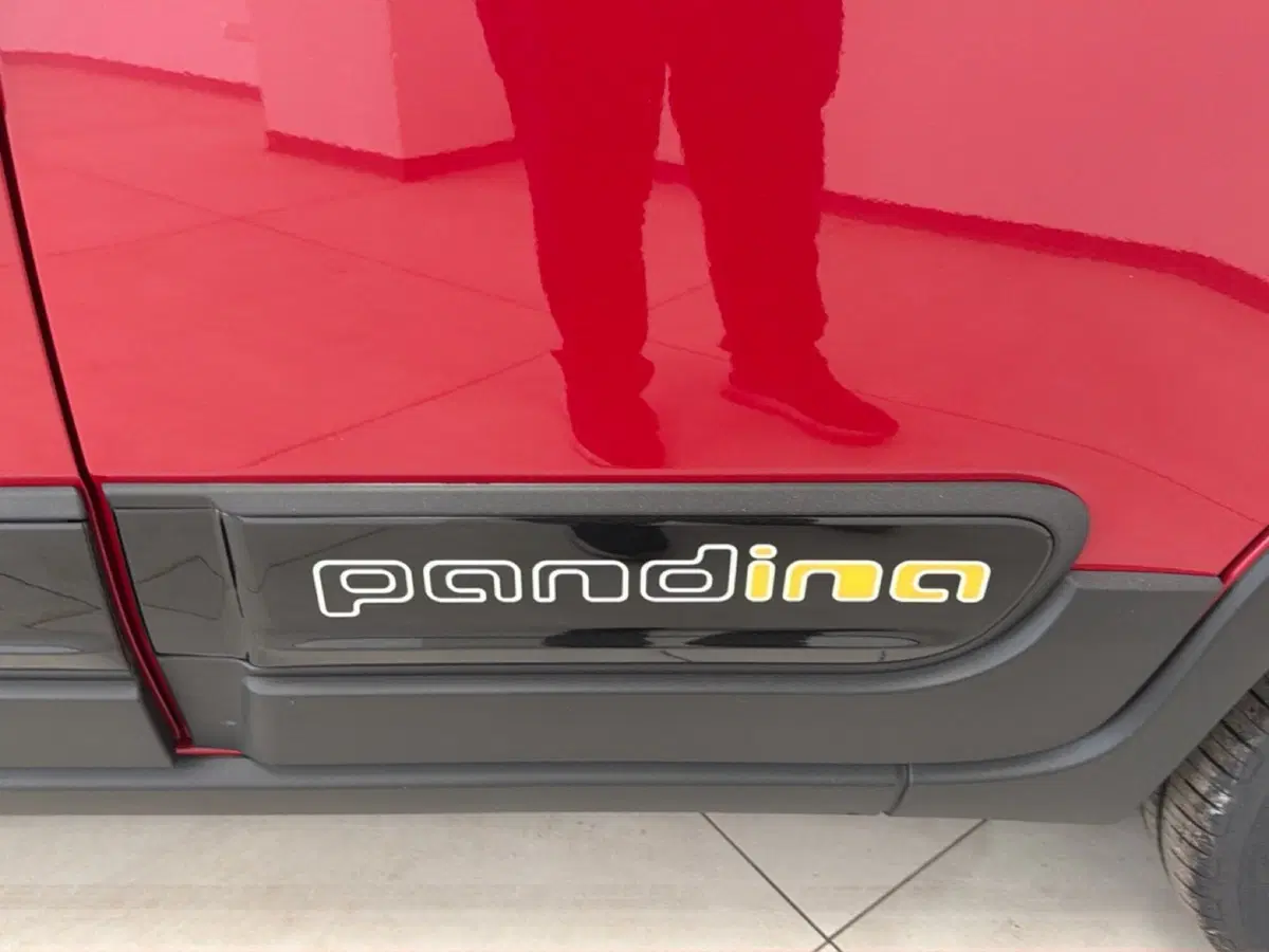 Fiat Pandina nuova a Palermo (5)