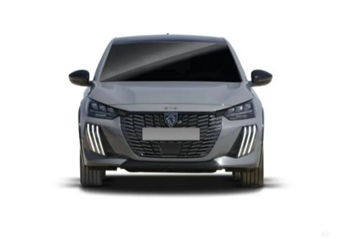 Peugeot 208 nuova a Cosenza (17)
