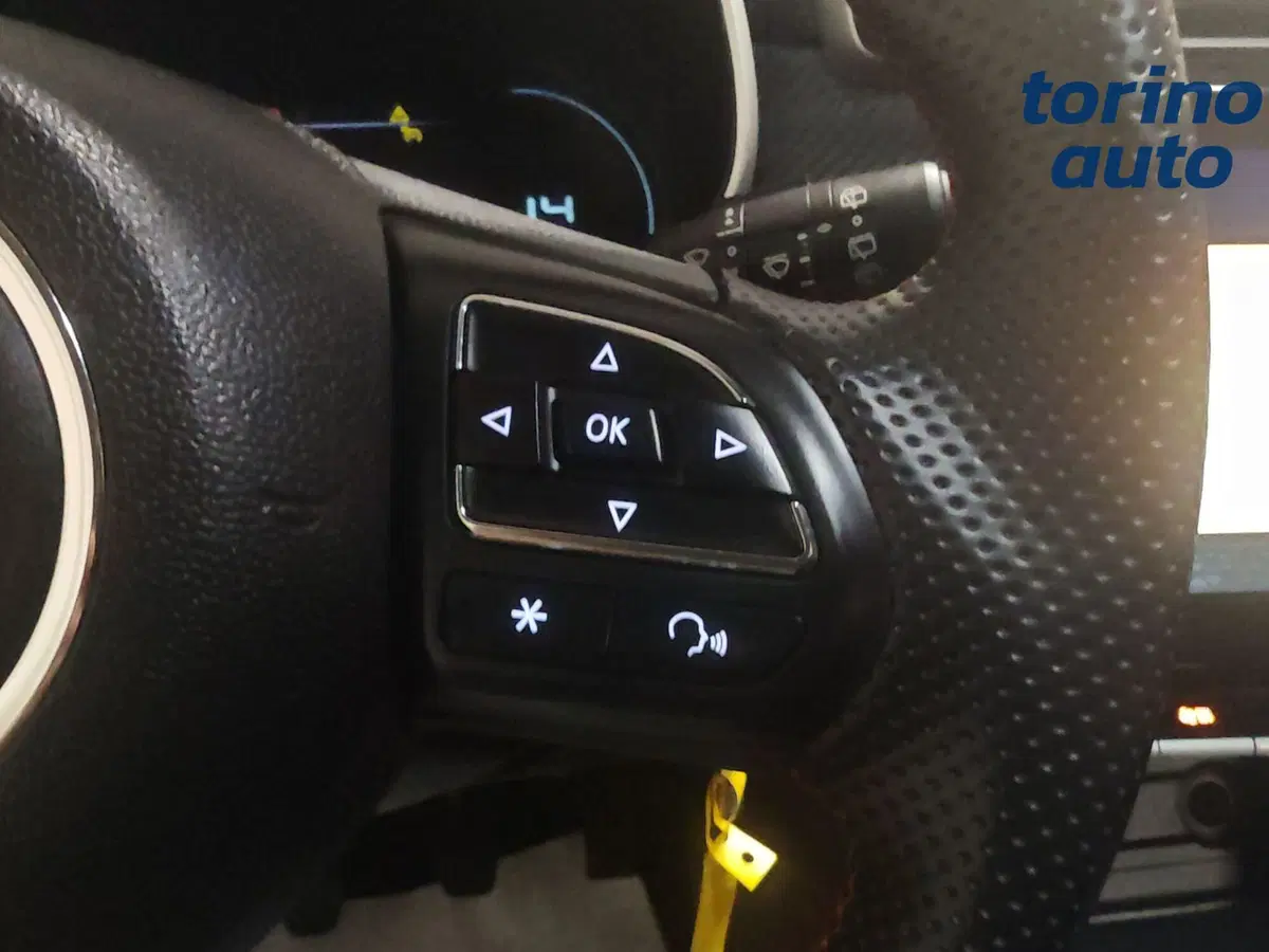 Mg ZS usata a Torino (13)