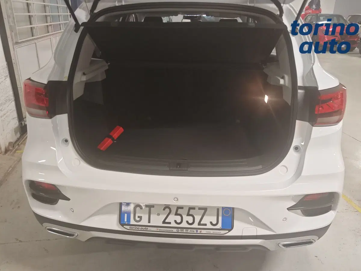 Mg ZS usata a Torino (20)