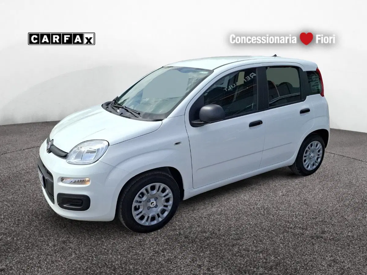 Fiat Pandina nuova a Latina