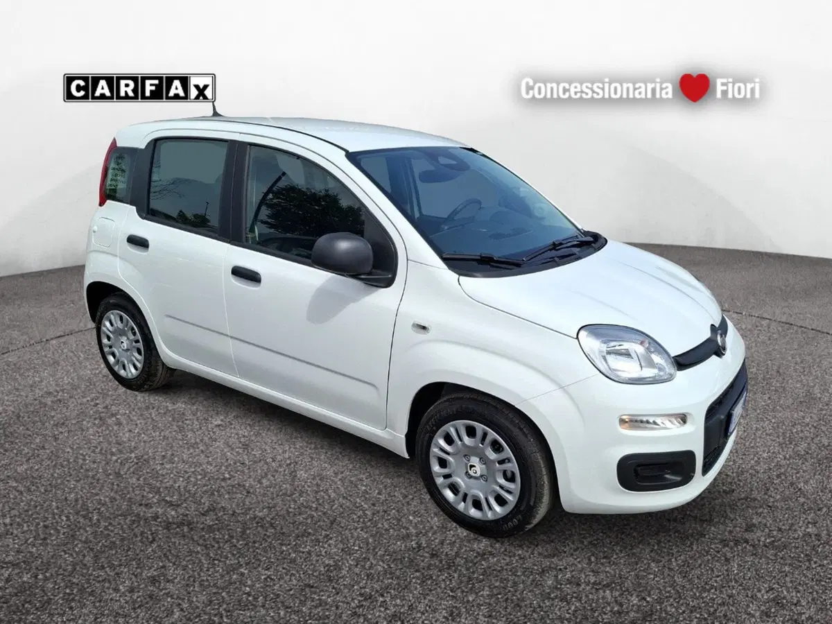 Fiat Pandina nuova a Latina (2)