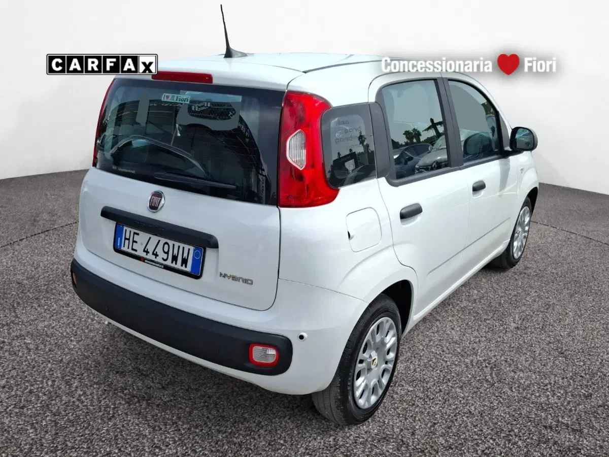 Fiat Pandina nuova a Latina (3)