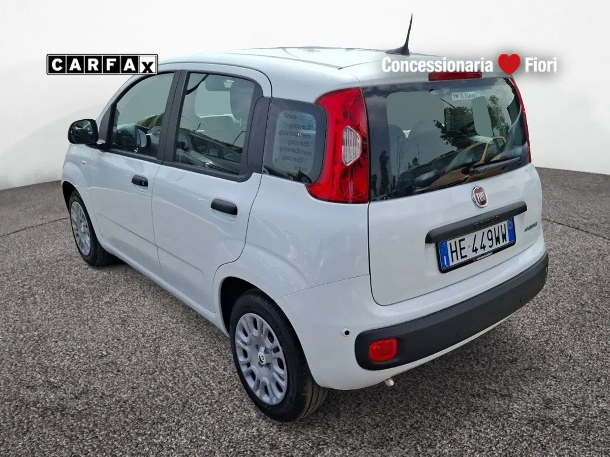 Fiat Pandina nuova a Latina (4)