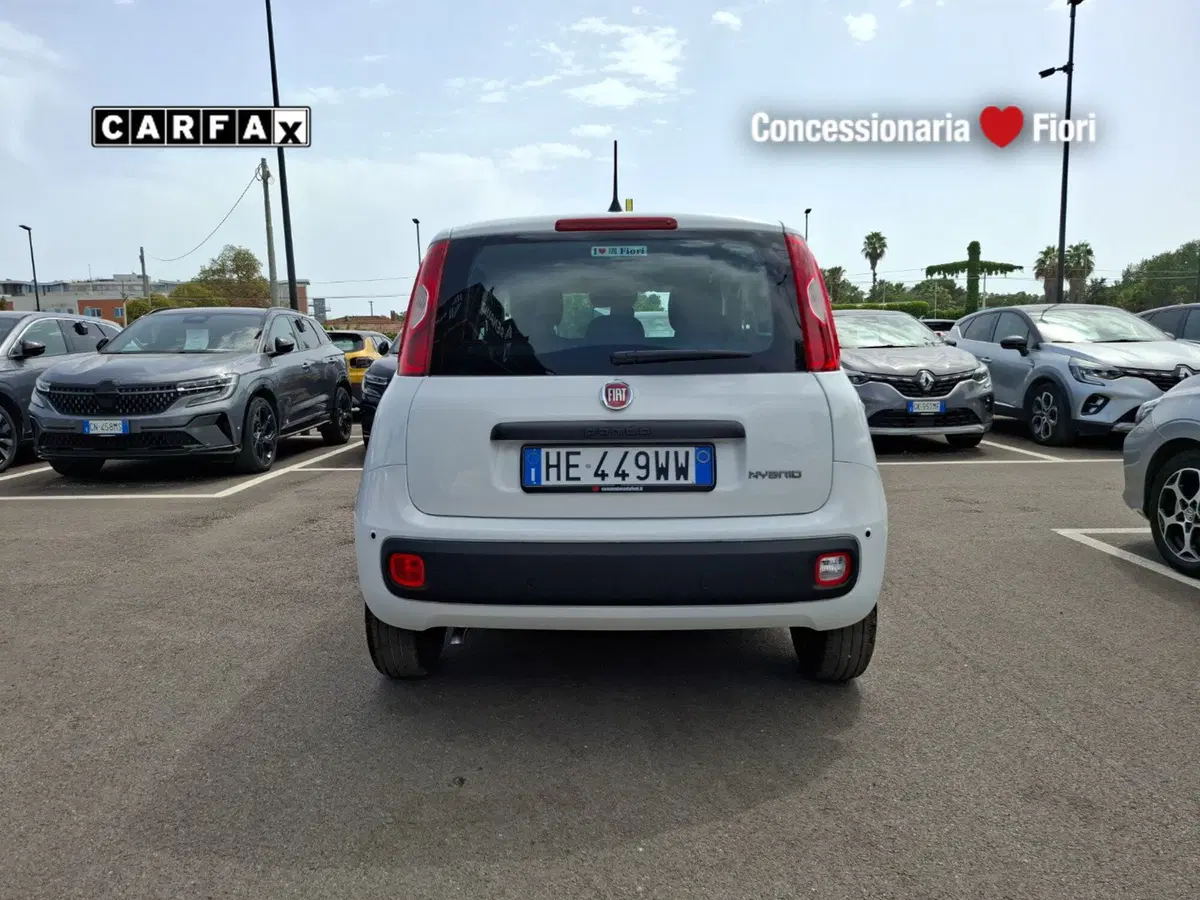 Fiat Pandina nuova a Latina (5)