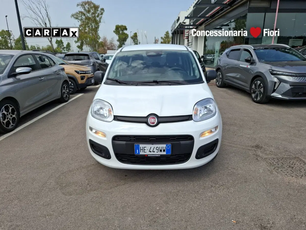 Fiat Pandina nuova a Latina (6)