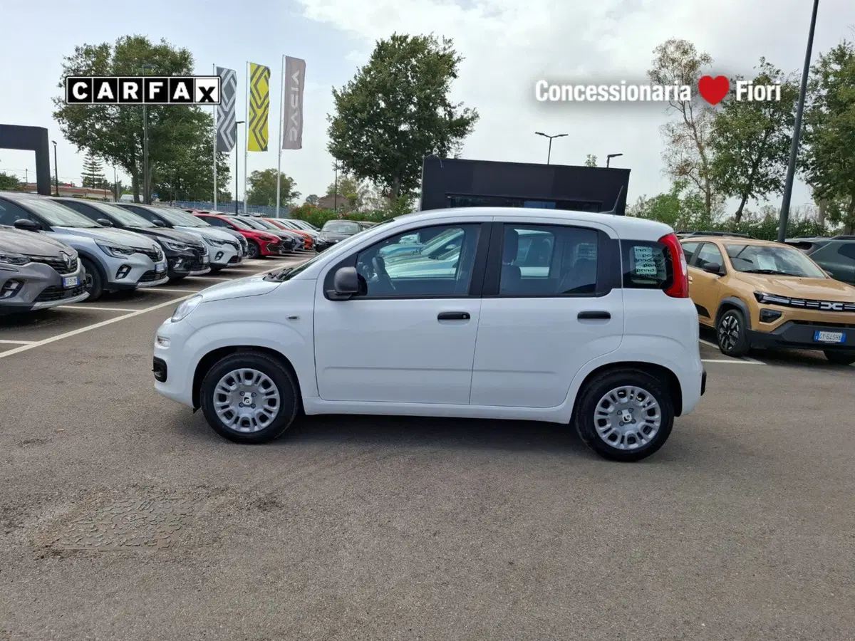 Fiat Pandina nuova a Latina (7)