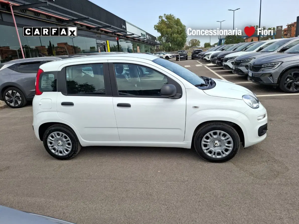 Fiat Pandina nuova a Latina (8)