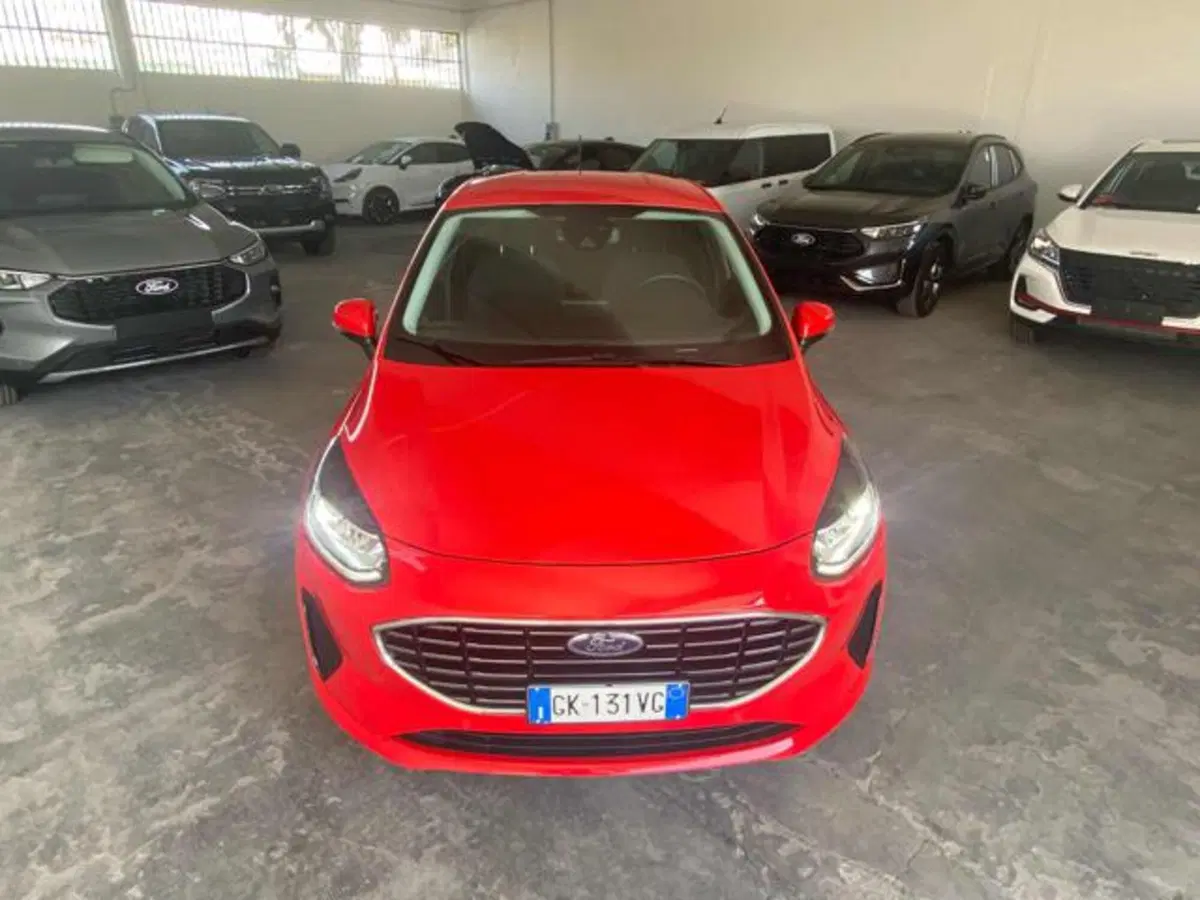 Ford Fiesta usata a Bologna (2)