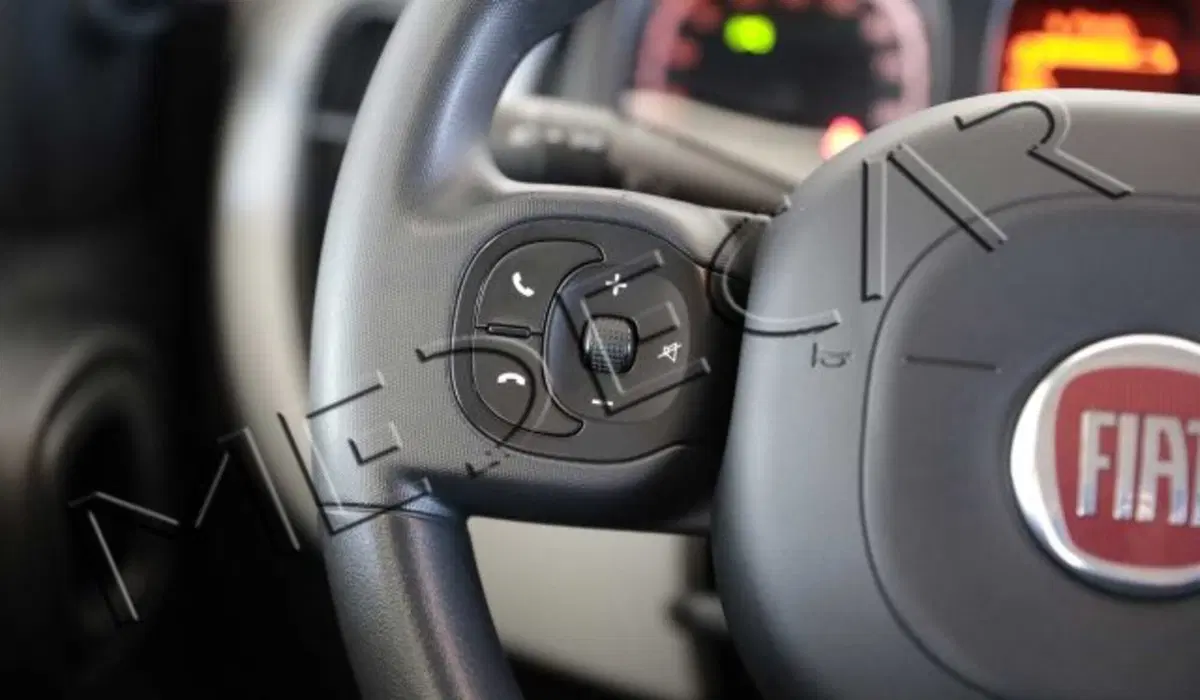 Fiat Panda usata a Potenza (11)
