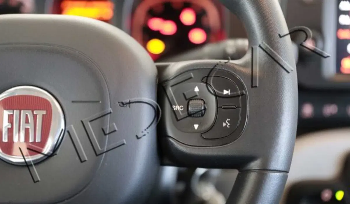 Fiat Panda usata a Potenza (12)